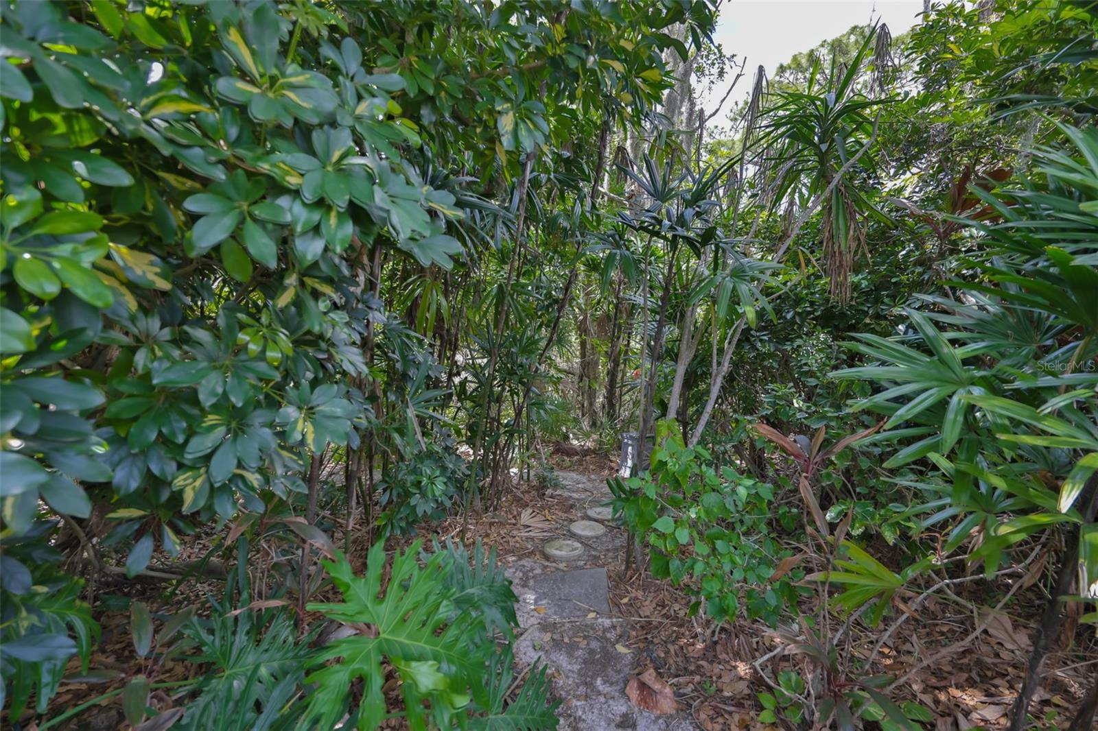 SUN CITY SOUTH AREA - Residential