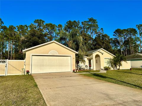 A home in PALM COAST