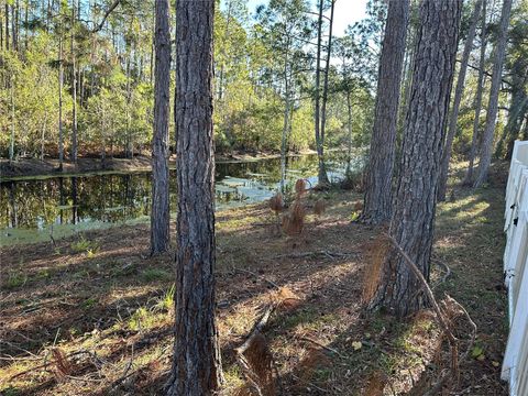 A home in PALM COAST