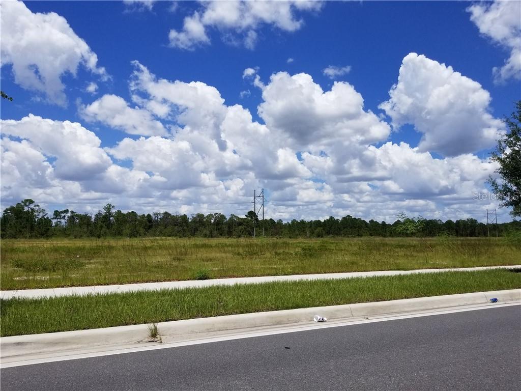 S APOPKA VINELAND
