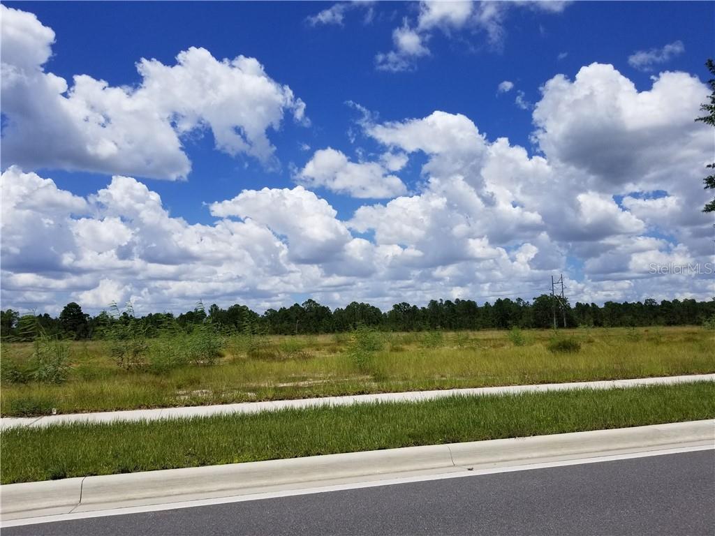 S APOPKA VINELAND