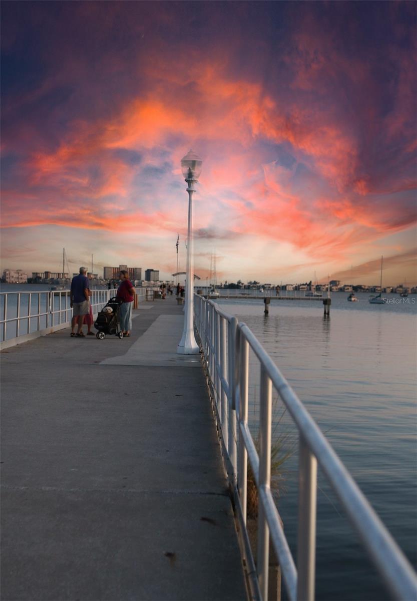 TOWN SHORES OF GULFPORT - Residential