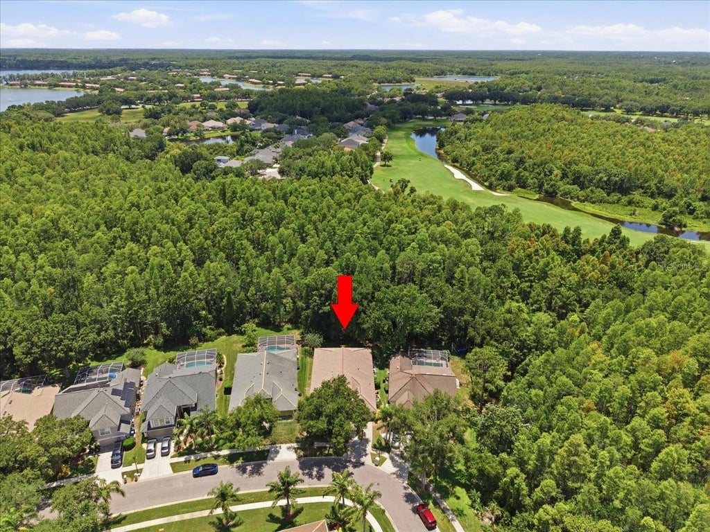 Photo of 5550 Avenue Du Soleil, Lutz, FL 33558 (MLS # J1003110)