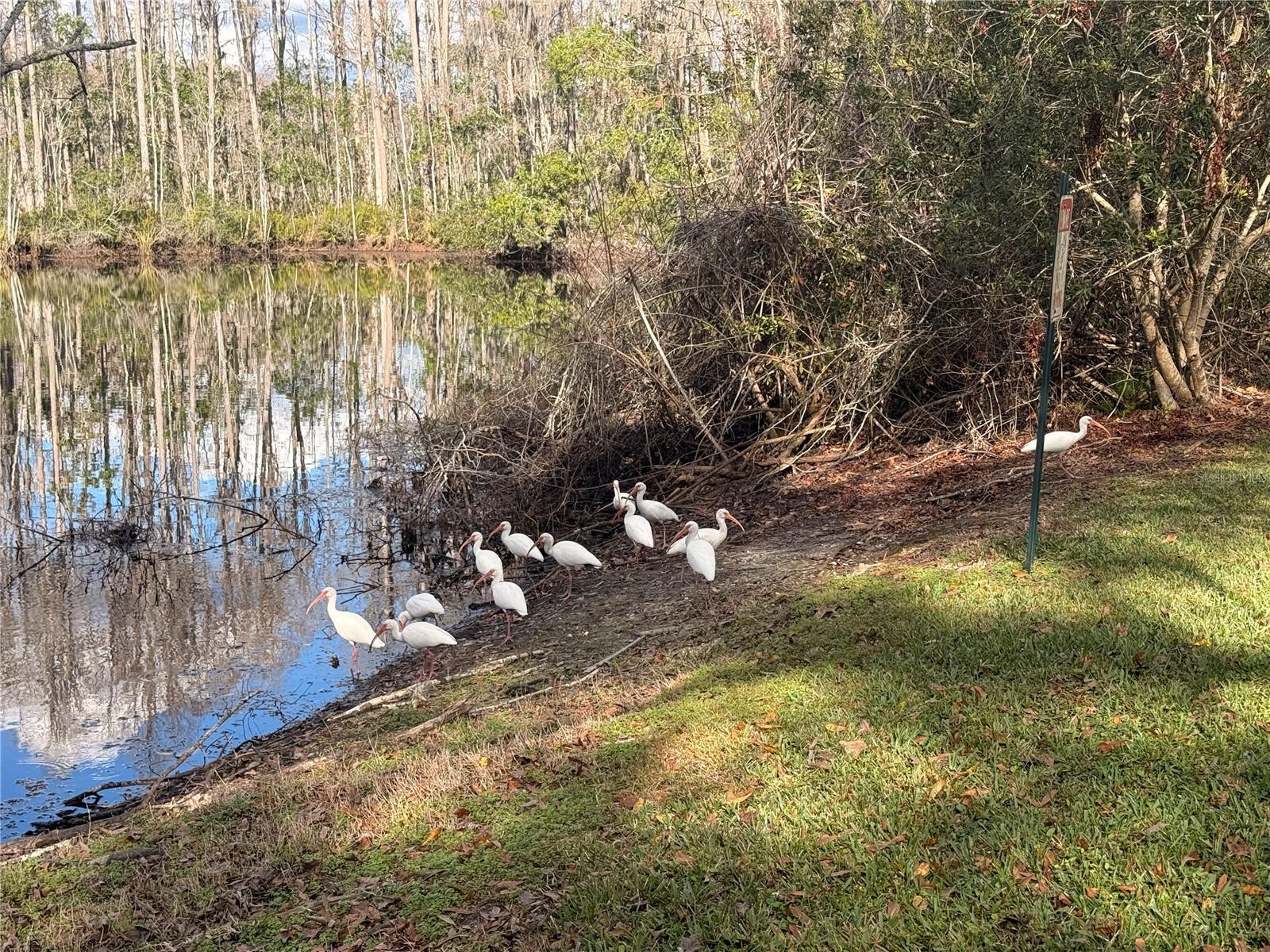 BAYWOOD MEADOWS PH 01 - Residential