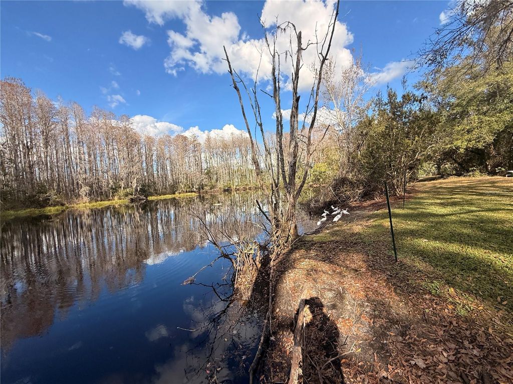 Photo of 12155 Environmental Drive #6, New Port Richey, FL 34654 (MLS # W7882034)