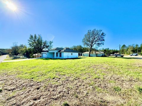 A home in CITRUS SPRINGS