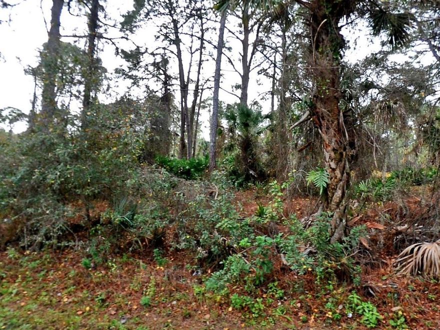 10,000 Sq. ft. Lot for sale, close to warm mineral springs, merge onto I-75 in no time.