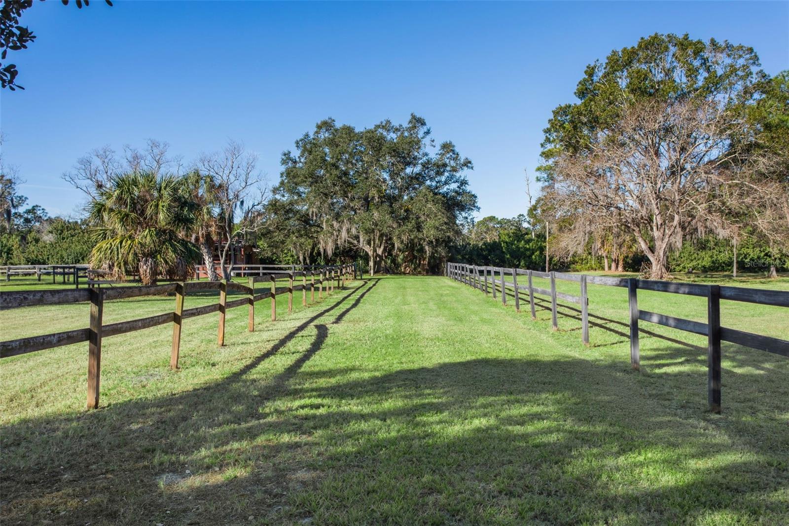 OLDSMAR FARM 4 - Land