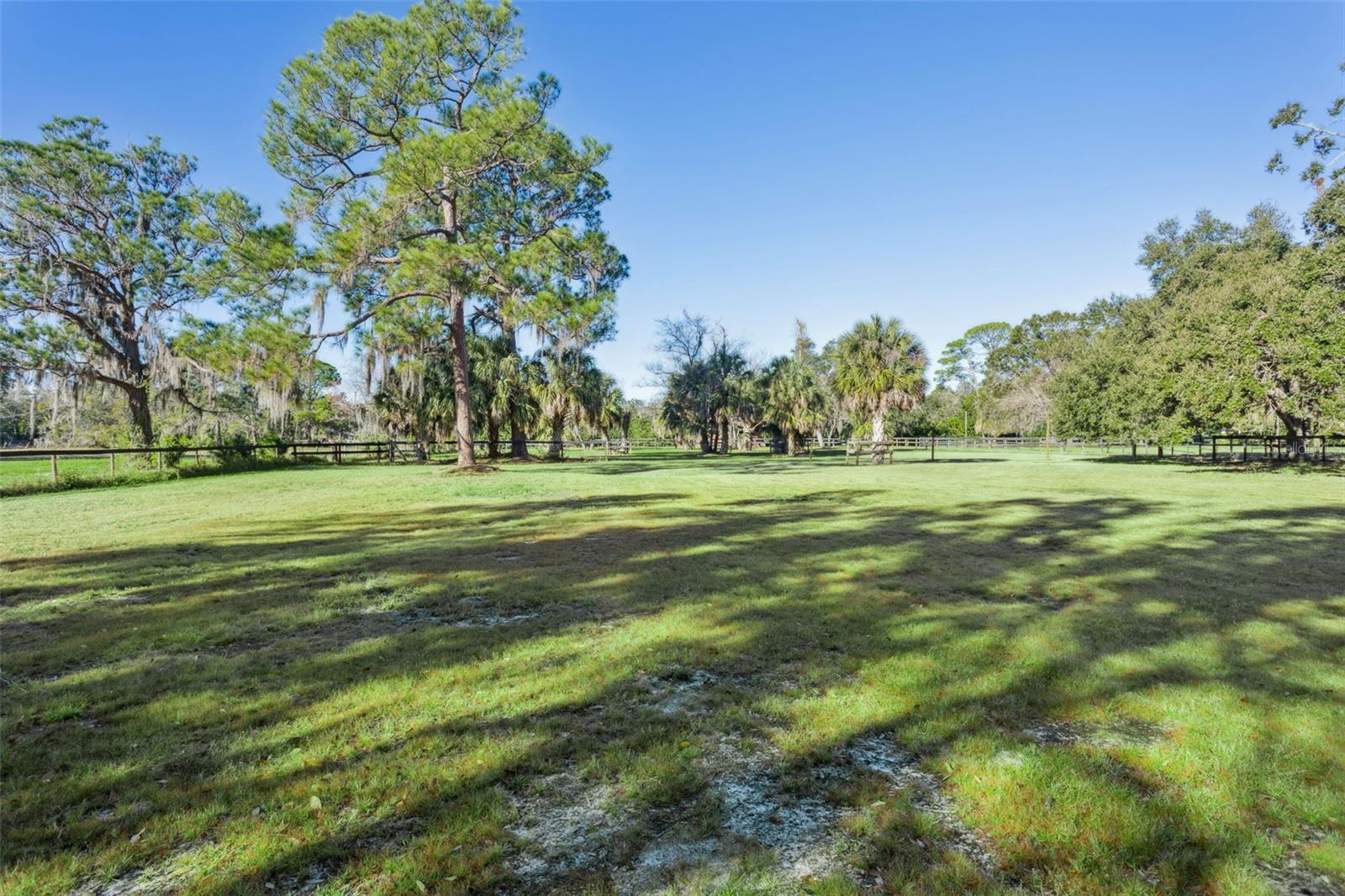 OLDSMAR FARM 4 - Land