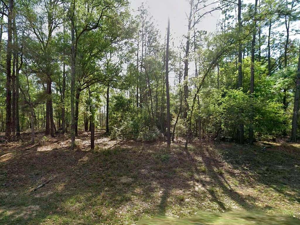 Photo of 8297 N Yellowbird Avenue, Citrus Springs, FL 34434 (MLS # O6436966)