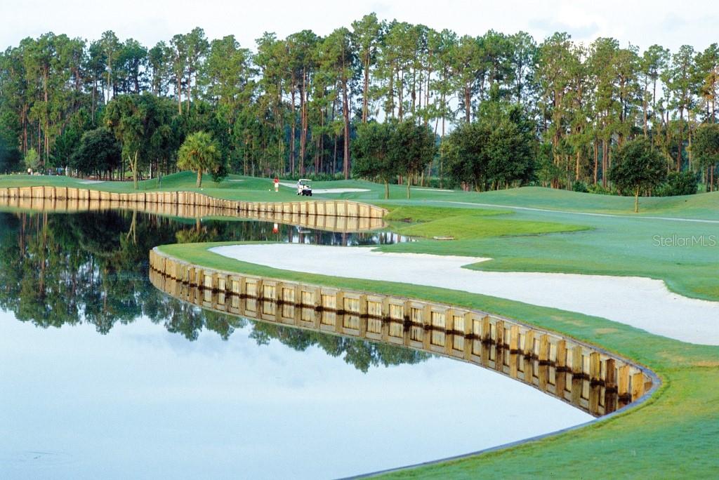 ROSEDALE 10 - Residential