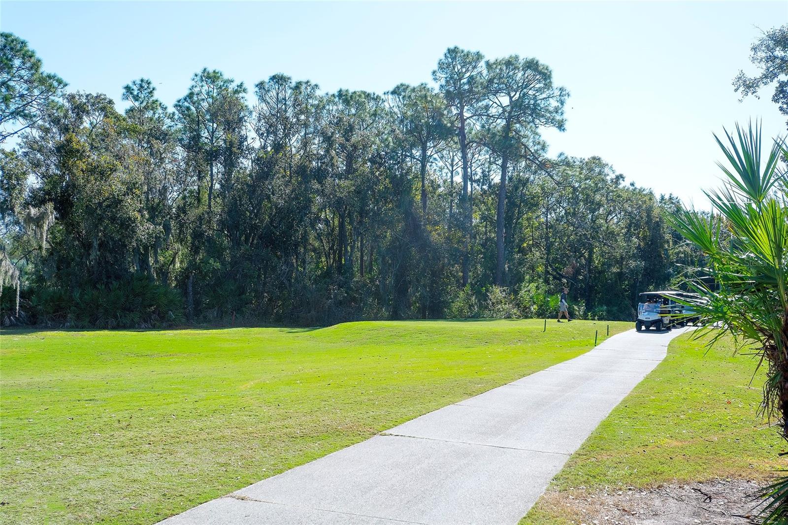 ROSEDALE 10 - Residential