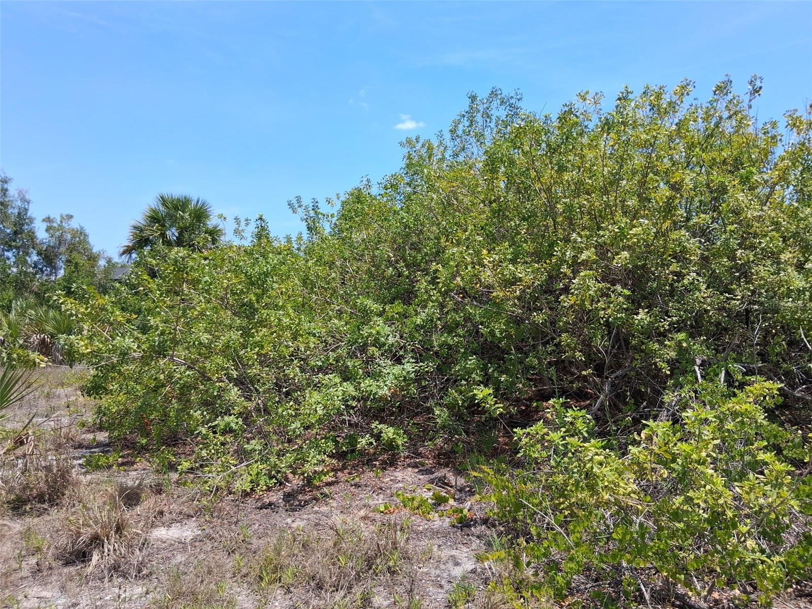 PORT CHARLOTTE SEC 87 - Land