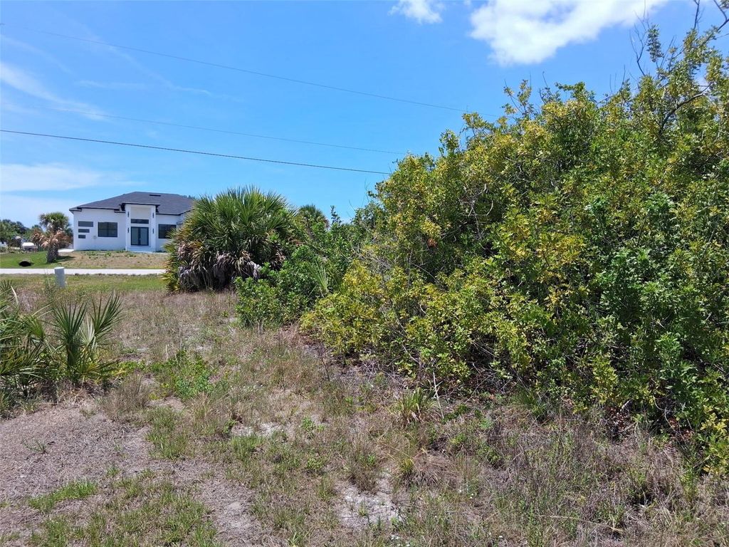 Photo of 10166 Kingsville Drive, Port Charlotte, FL 33981 (MLS # O6409476)