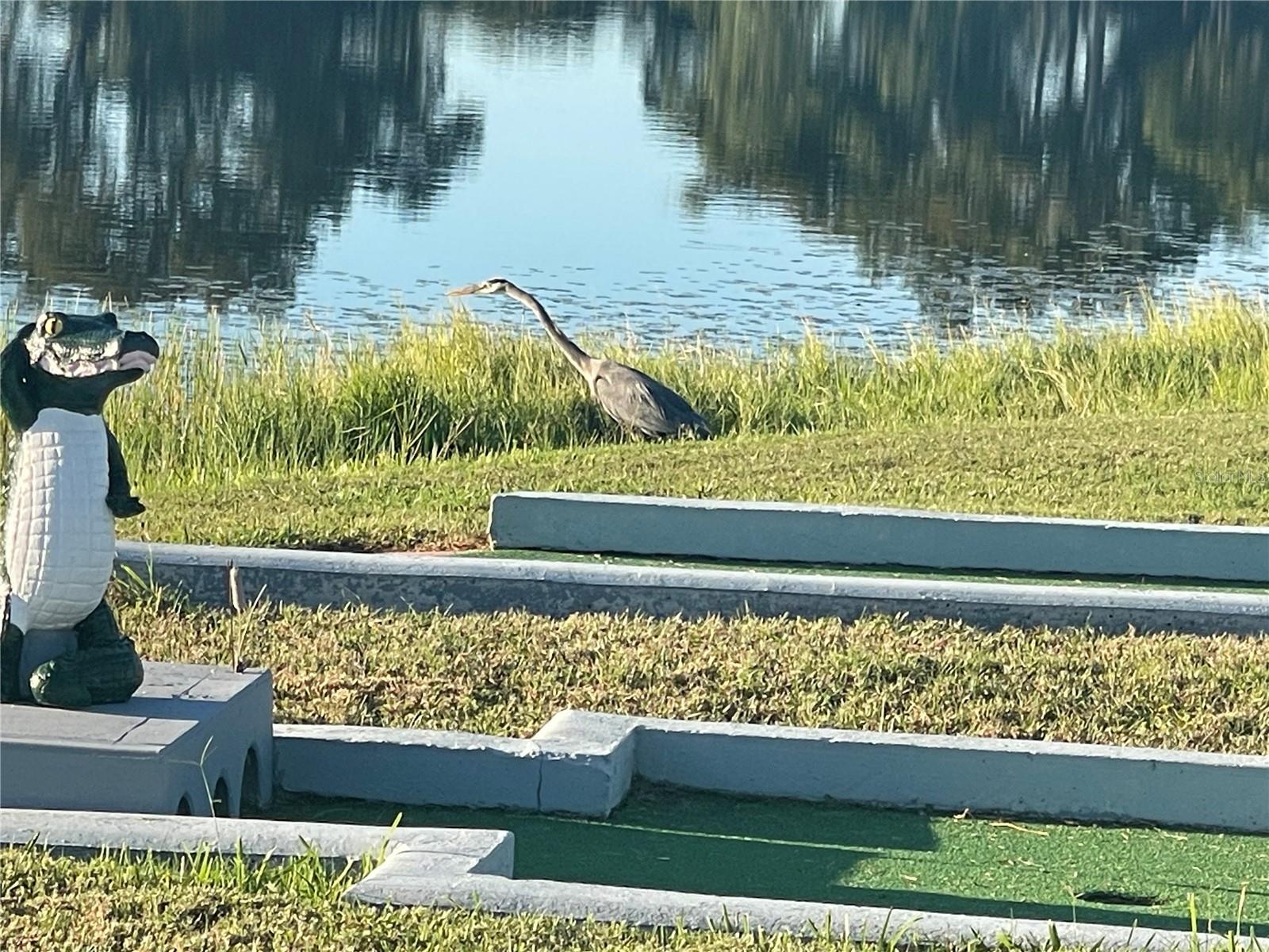 OAKWOOD ESTATES - Residential