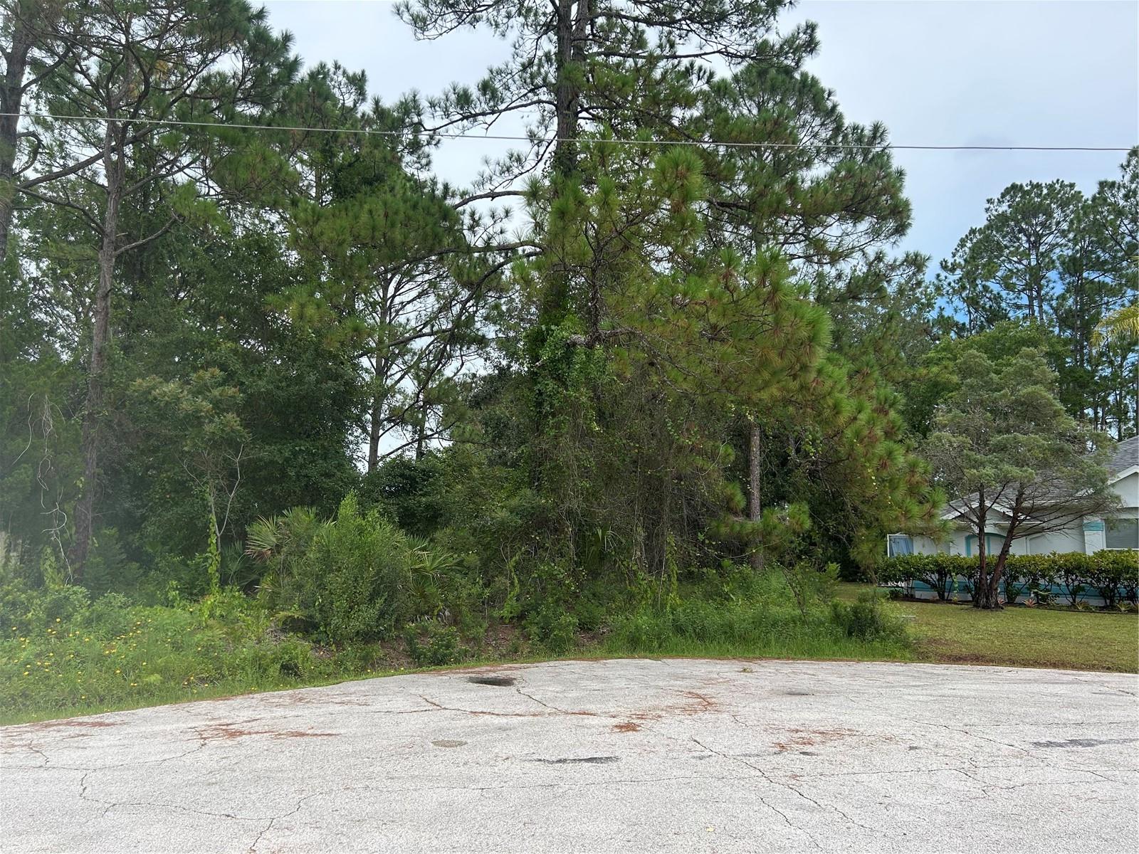 Welcome to the beautiful lot on 9 Rainrock Place! Centrally located property is tucked away on a peaceful cul-de-sac street and offered a rare combination of complete privacy and convenient location close to shopping, medical facilities, banks, school, and main roads. Whether you're ready to build now or planning for the future, this lot offers privacy, and prime location you’ve been searching for. Do not miss this chance to own the lot in one of the Palm Coast's most desirable area!