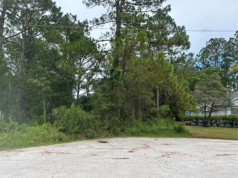 9 RAINROCK PLACE PALM COAST FL 32164