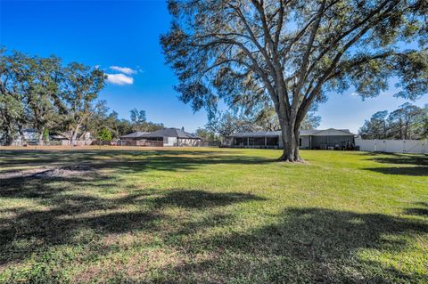 A home in RIVERVIEW