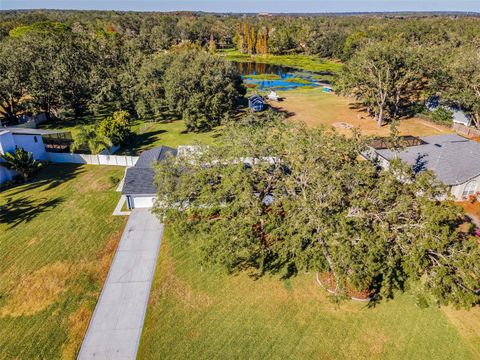 A home in RIVERVIEW