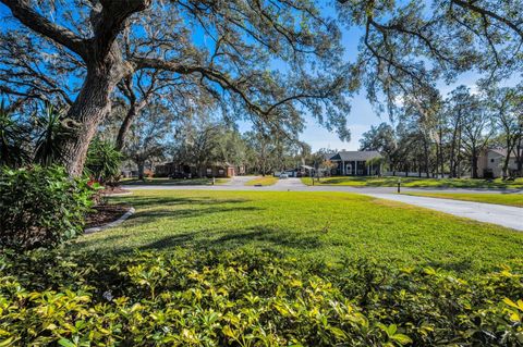 A home in RIVERVIEW