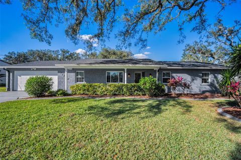 A home in RIVERVIEW