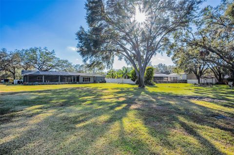 A home in RIVERVIEW