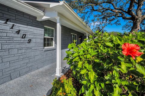 A home in RIVERVIEW