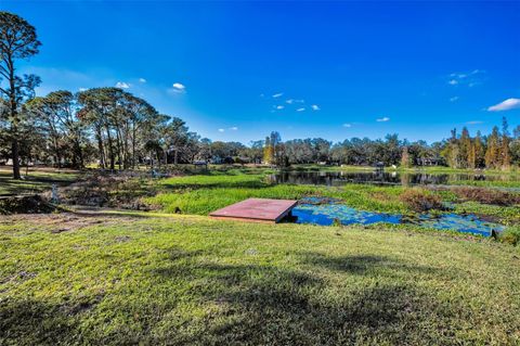 A home in RIVERVIEW