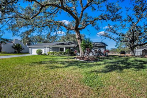 A home in RIVERVIEW