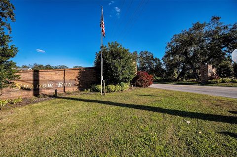 A home in RIVERVIEW