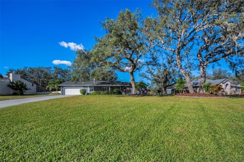 A home in RIVERVIEW