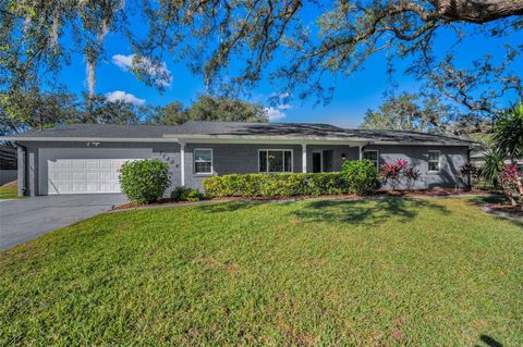 A home in RIVERVIEW