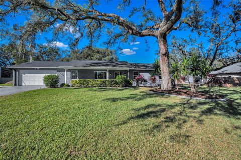 A home in RIVERVIEW