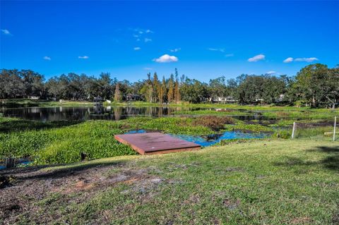 A home in RIVERVIEW