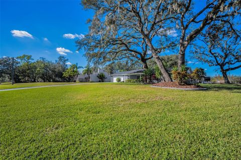 A home in RIVERVIEW