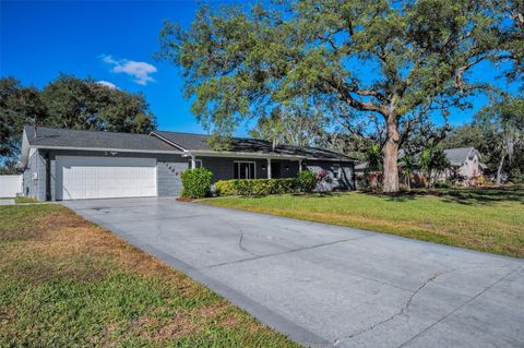 A home in RIVERVIEW