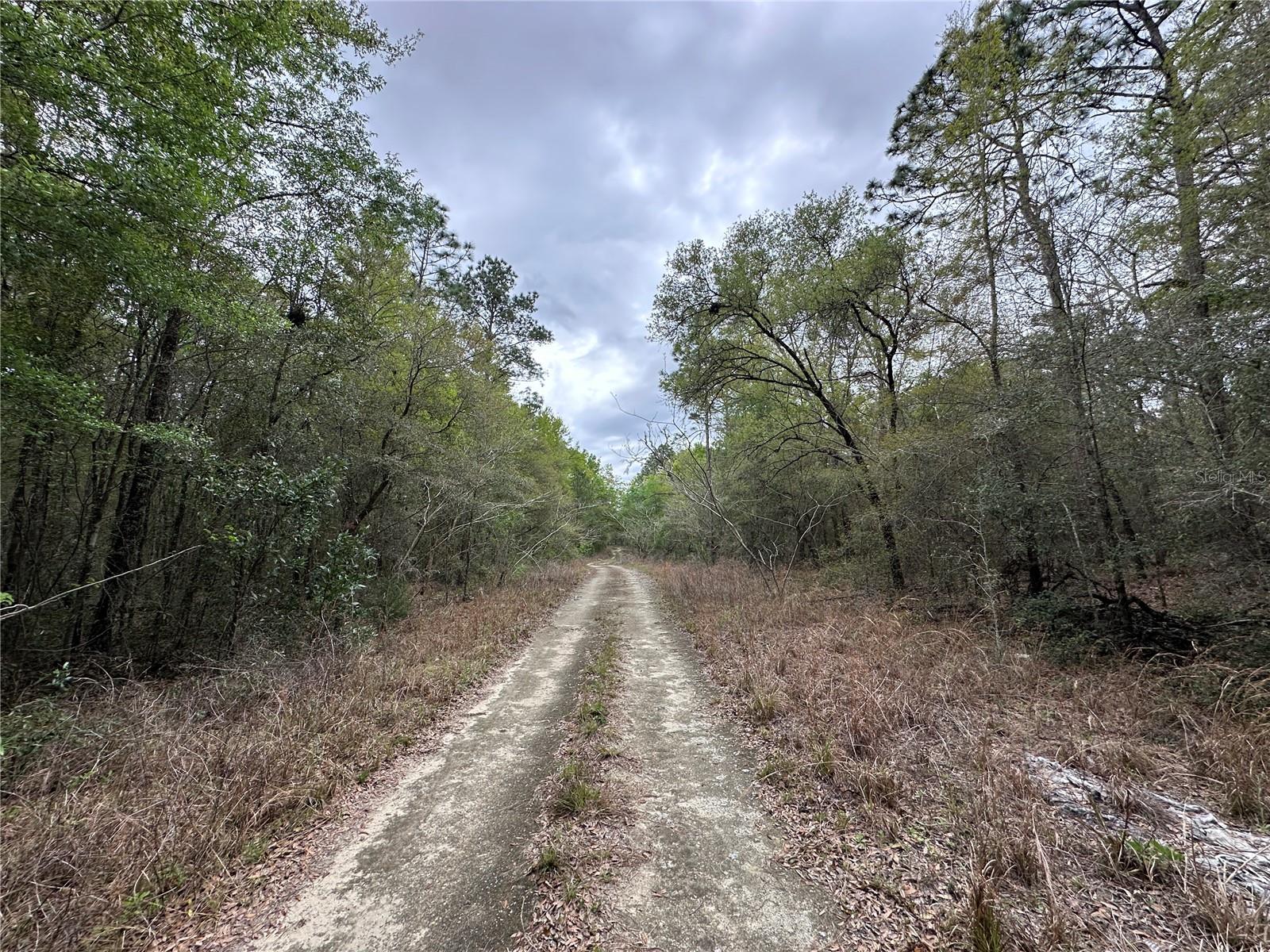 WILLISTON HIGHLANDS GOLF & C CLUB ESTATES - Land