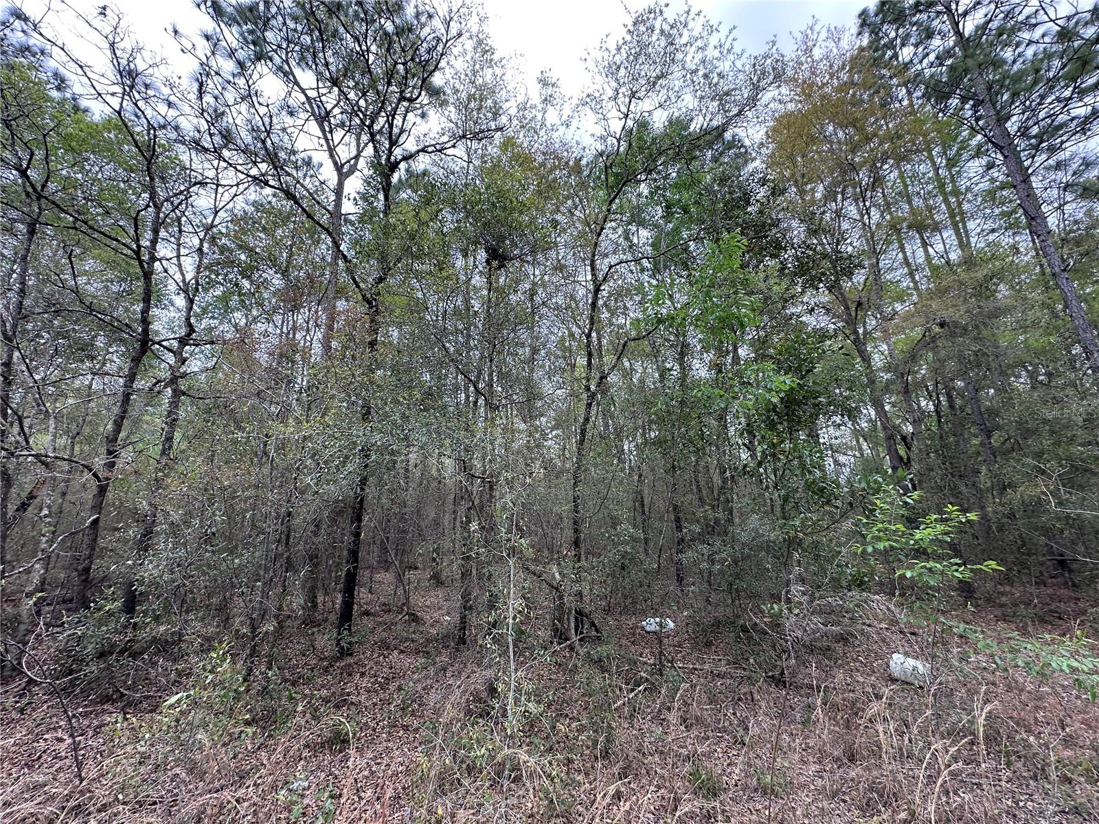WILLISTON HIGHLANDS GOLF & C CLUB ESTATES - Land