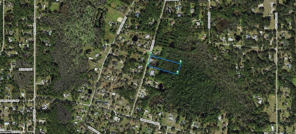 Photo of 31 Olcott Drive, Wesley Chapel, FL 33544 (MLS # A4689755)