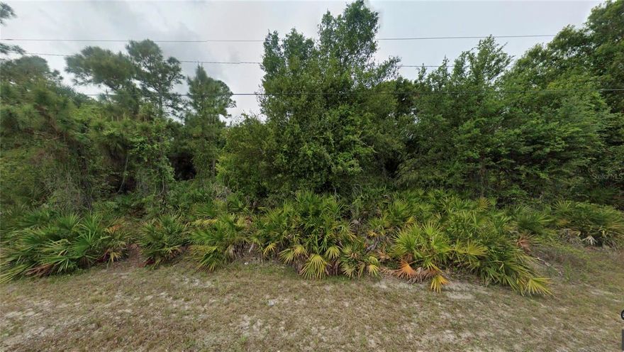 Prime opportunity in growing Lehigh Acres! This 0.49-acre vacant residential lot offers the perfect setting to build your custom home or invest in an area experiencing continued growth and development. Zoned vacant residential, the property provides flexibility for a variety of home designs with plenty of space for outdoor living, a pool, or additional garage space. Enjoy the added privacy of nearly half an acre while still being conveniently located near shopping, dining, schools, parks, and major roadways with easy access to Fort Myers and surrounding Southwest Florida areas. Whether you’re ready to build now or secure land for the future, this property offers outstanding potential in a rapidly expanding community.