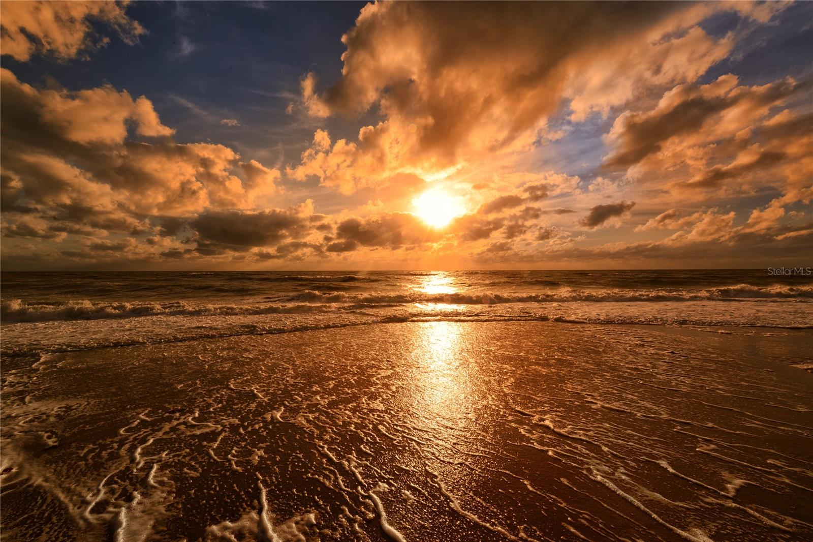 ISLAND HOUSE - Residential