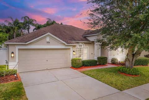 A home in VALRICO