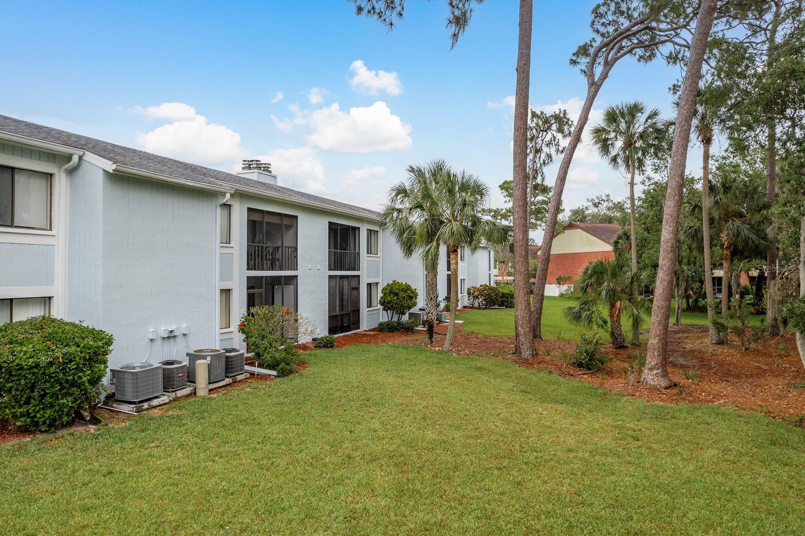 EAST LAKE WOODLANDS CONDO - Residential