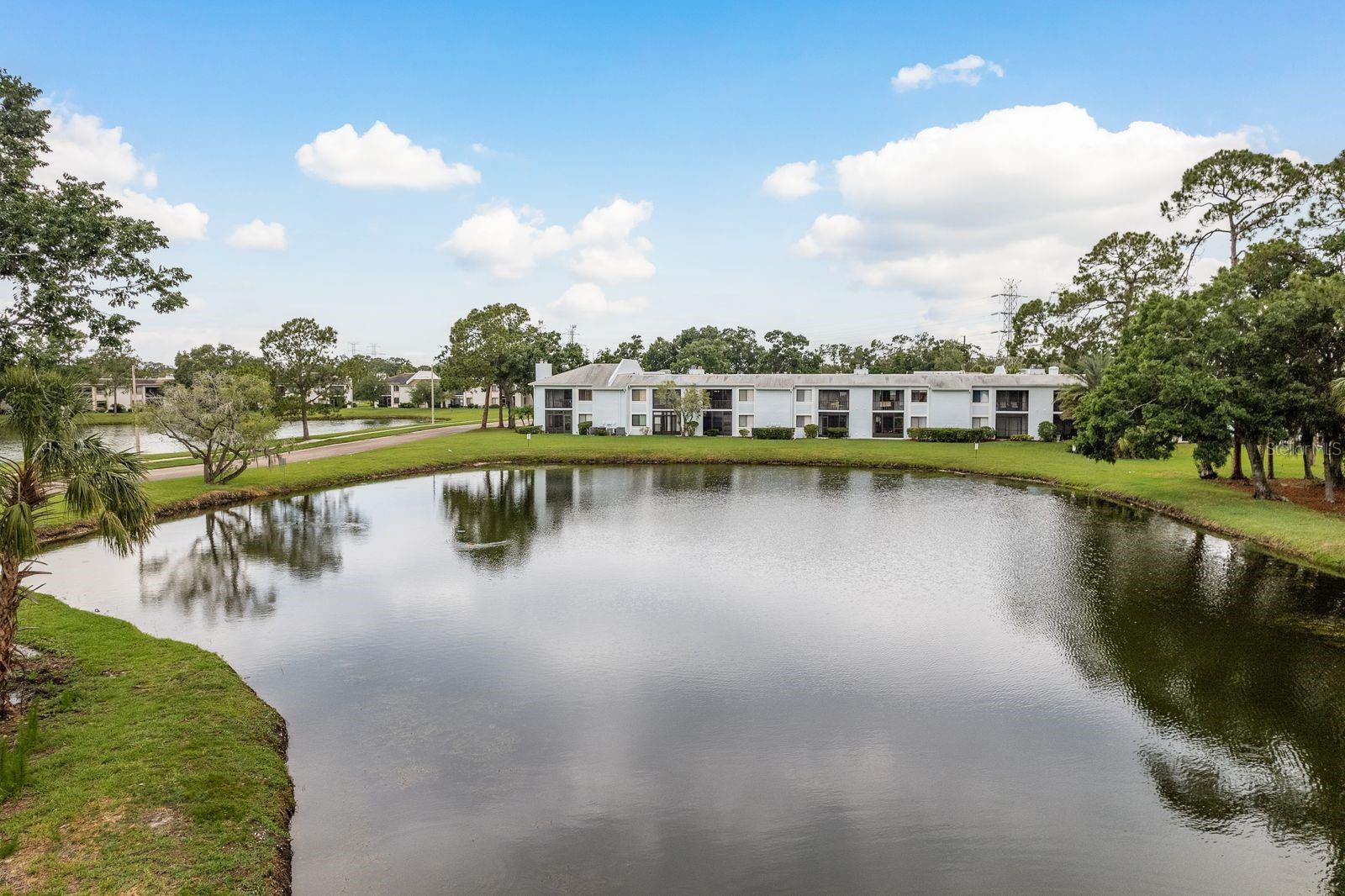 EAST LAKE WOODLANDS CONDO - Residential