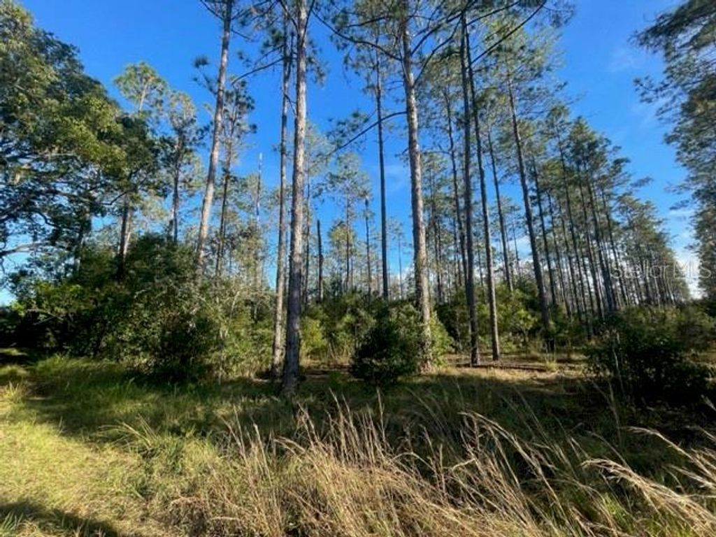 Photo of SE Corner Of Holly Lane &amp; S.R. 597 Lane, Lutz, FL 33548 (MLS # T3488610)