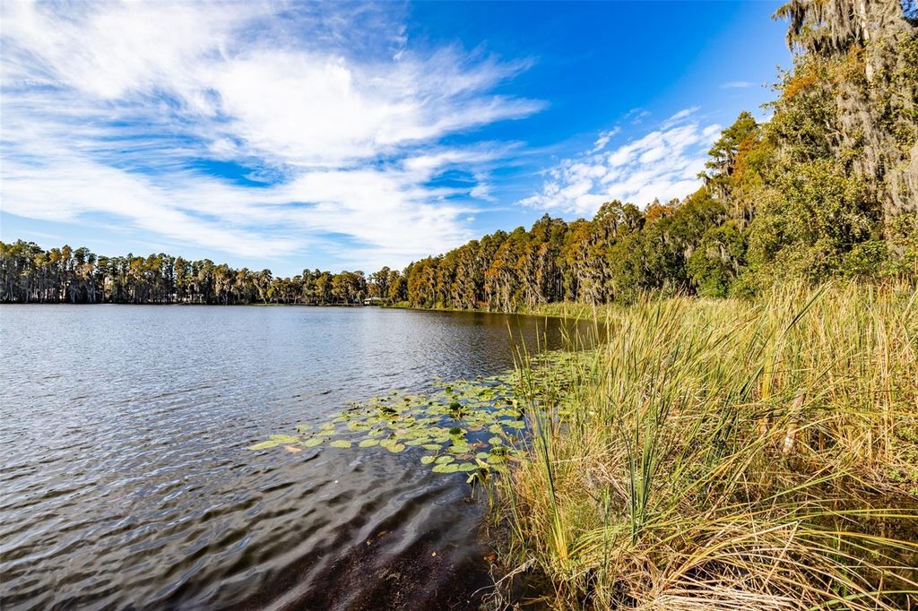 Photo of SE Corner Of Holly Lane &amp; S.R. 597 Lane, Lutz, FL 33548 (MLS # T3488610)
