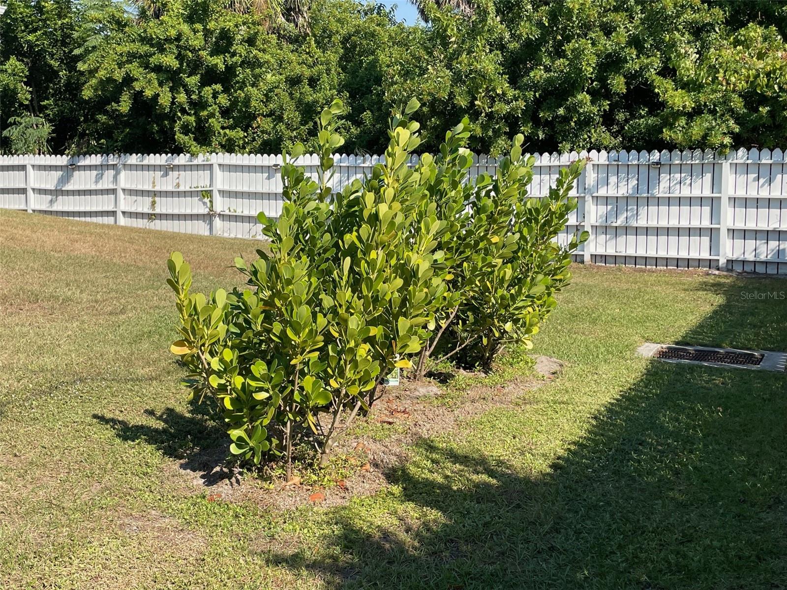 PORT CHARLOTTE SEC 010 - Residential