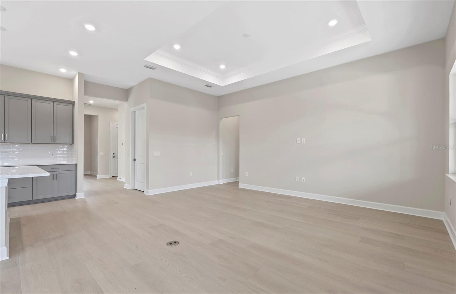 TALON PRESERVE ON PALMER RANCH - Residential