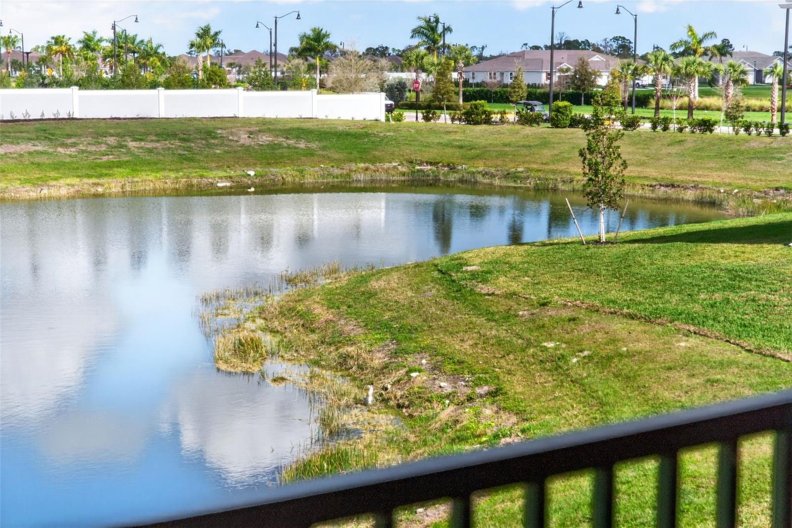 COACH HOMES II AT WELLEN PARK - Residential