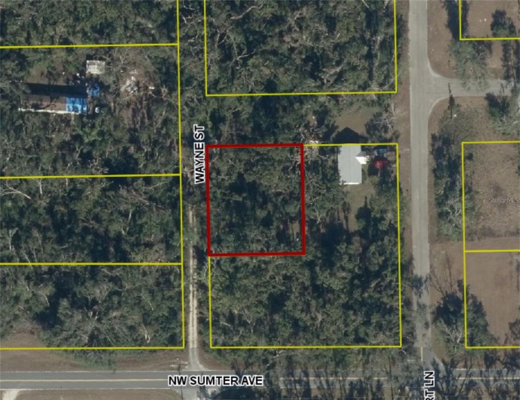 Photo of NW Wayne St, Mayo, FL 32066 (MLS # O6391115)
